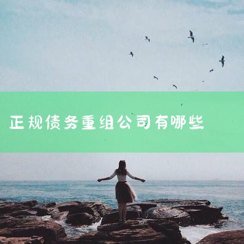 ծ鹫˾Ժ˾֡ݹšС֤ȯʹܹ˾ծ鹫˾мԺ˾֡ݹšС֤ȯʲ˾ͬ,ծ